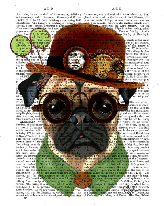 Steampunk Pug Steampug Art Print dictionary page book art Dog Art Dog Print Frenchie Bulldog Pug Picture wall art wall decor steampunk buy now online