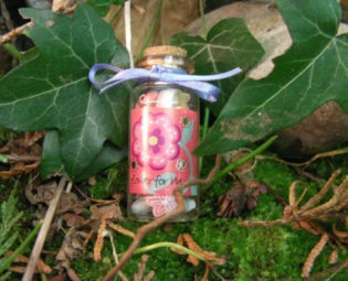 Mini Faerie Cloud Magic Bottle - Flowers For Mum.  Lucky Charm, Friendship Gift, Crafting Trinket! steampunk buy now online