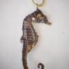 Seahorse necklace, cast from real seahorse, brass cast, brass necklace, sacred nature, ocean world, amazing detail, handmade by KNOWLEDGEGALLERY steampunk buy now online