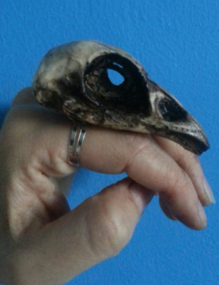 Oversized Resin cast pheasant skull ring by HysteriaMachine steampunk buy now online