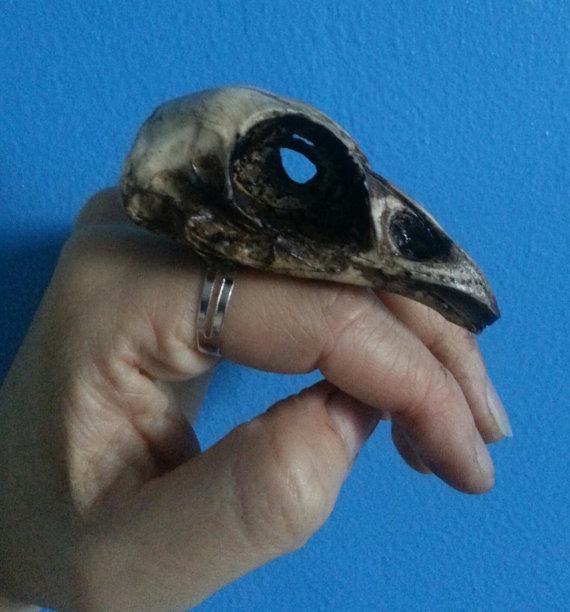 Oversized Resin cast pheasant skull ring by HysteriaMachine steampunk buy now online