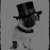 PHOTO PAINTING DF STEAMPUNK PUG GREY 18X24 '' POSTER ART PRINT BDAY GIFT LF125 steampunk buy now online