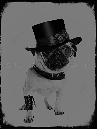PHOTO PAINTING DF STEAMPUNK PUG GREY 18X24 '' POSTER ART PRINT BDAY GIFT LF125 steampunk buy now online