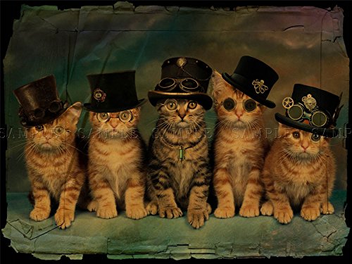 PHOTO PAINTING DF STEAMPUNK KITTENS PLASTER 18X24 '' POSTER ART PRINT LF120 steampunk buy now online