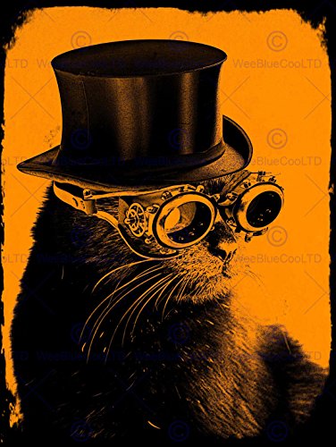 PAINTING FIELDING STEAMPUNK CAT MOJO TOP HAT POSTER ART PRINT BB12486B steampunk buy now online