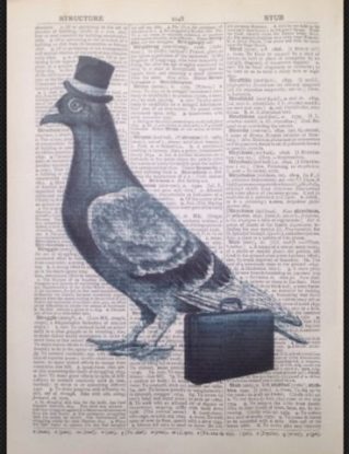 Pigeon Bird Vintage Dictionary Page Print Picture Wall Art Hipster Hat Steampunk steampunk buy now online