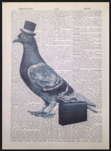 Pigeon Bird Vintage Dictionary Page Print Picture Wall Art Hipster Hat Steampunk steampunk buy now online