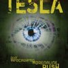 Tesla: A Steampunk/Cyberpunk Adventure (Tesla Evolution Book 1) steampunk buy now online
