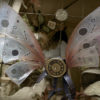 steampunk fairy wings steampunk buy now online