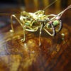 Steampunk brass wire time bug steampunk buy now online