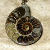 Steampunk Jewelry Steampunk Necklace with NATURAL JASPER stone rare TIBETAN AGATE and AMMONITE FOSSIL made by CatherinetteRings steampunk buy now online