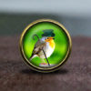 Steampunk Bird / Vintage Bronze Dresser knobs cabinet Dresser Knobs pull / Cabinet Knobs / Furniture Knobs by GibbsHouse steampunk buy now online