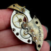 Steampunk Parrot by ylfdragon steampunk buy now online