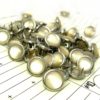 48 Cream Cowgirl Snaps Pearl Prong Western Snaps steampunk buy now online