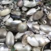 10 Piece Sterling Silver Plated Spoon Bowl Assortment - Perfect for all your metal stamping creations - Make resin pendants, earrings, belts steampunk buy now online