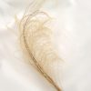 Sprig of IVORY peacock feather plume (1 PIECE) (5-8") for hats, fascinators, headdresses, headbands and floral arrangements steampunk buy now online