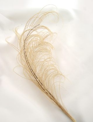 Sprig of IVORY peacock feather plume (1 PIECE) (5-8") for hats, fascinators, headdresses, headbands and floral arrangements steampunk buy now online