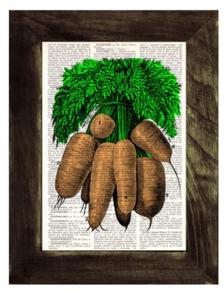 Carrots Illustration Print on Vintage Dictionary Book page BPBB090 steampunk buy now online