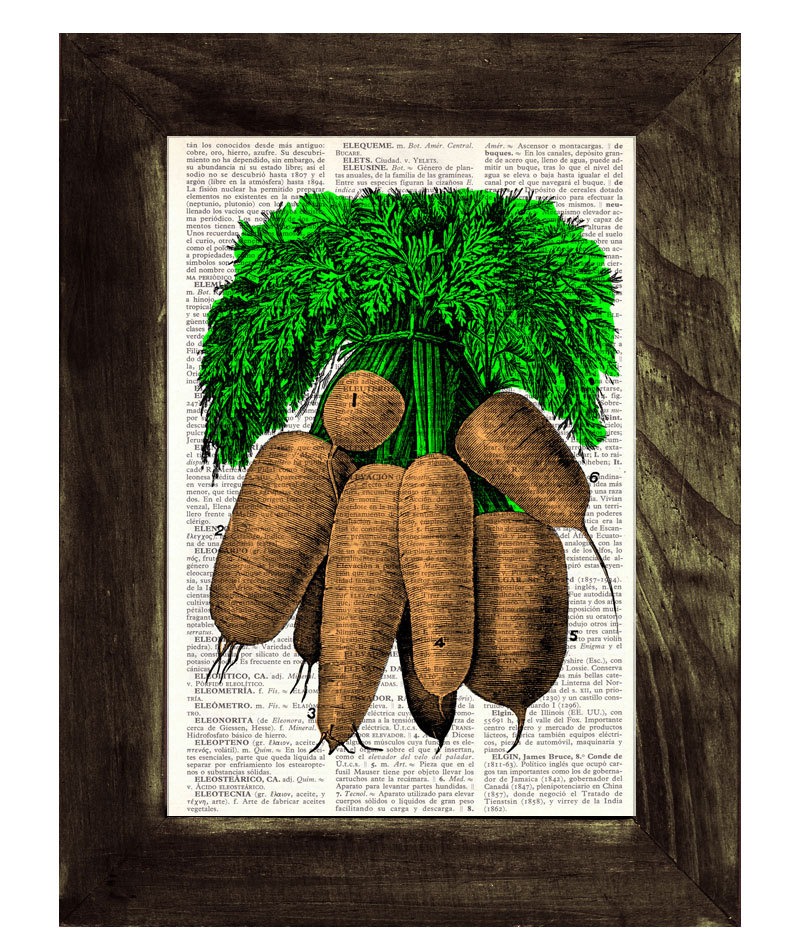 Carrots Illustration Print on Vintage Dictionary Book page BPBB090 steampunk buy now online