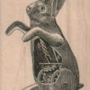 Steampunk rabbit bunny rubber stamps place cards gifts unmounted 16032 steampunk buy now online