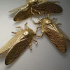 4 large brass cicada charms steampunk buy now online