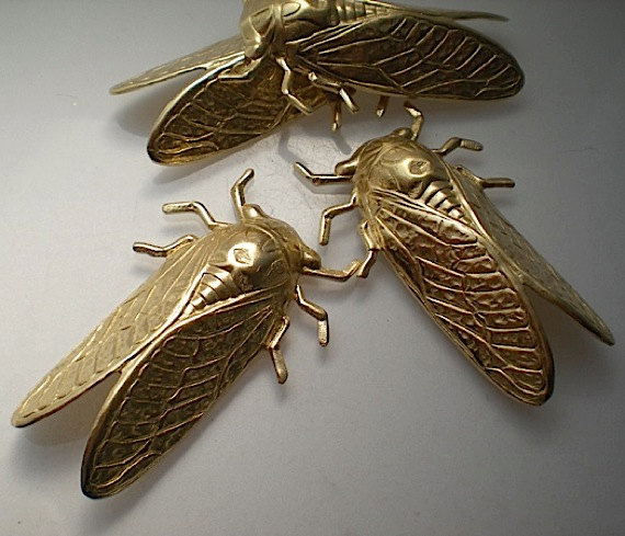 4 large brass cicada charms steampunk buy now online