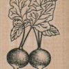 Rubber stamp mounted radish plant stamp number 12975 summer garden steampunk buy now online