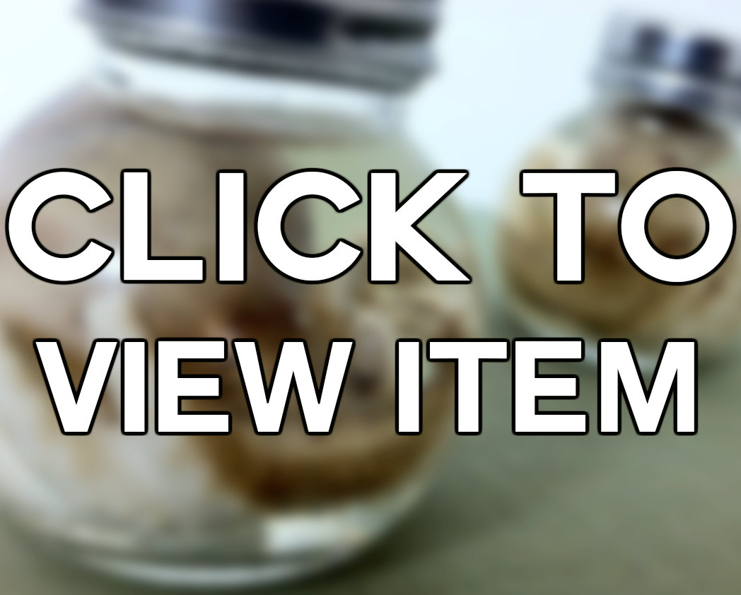 Baby Octopus (Ball Jar) - Real Preserved Wet Specimen- taxidermy oddities steampunk steampunk buy now online