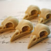 5 Bird Raven Crow Skull Cabs Resin Cabochon Taxidermy Animal Steampunk Gothic Goth Skull Ivory 35x16mm 5 PIECES steampunk buy now online