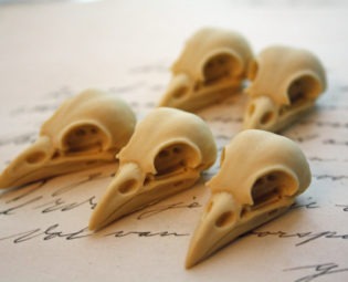5 Bird Raven Crow Skull Cabs Resin Cabochon Taxidermy Animal Steampunk Gothic Goth Skull Ivory 35x16mm 5 PIECES steampunk buy now online