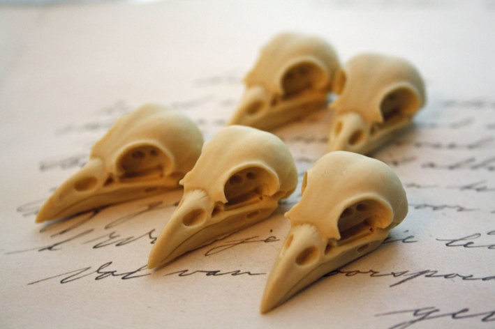 5 Bird Raven Crow Skull Cabs Resin Cabochon Taxidermy Animal Steampunk Gothic Goth Skull Ivory 35x16mm 5 PIECES steampunk buy now online