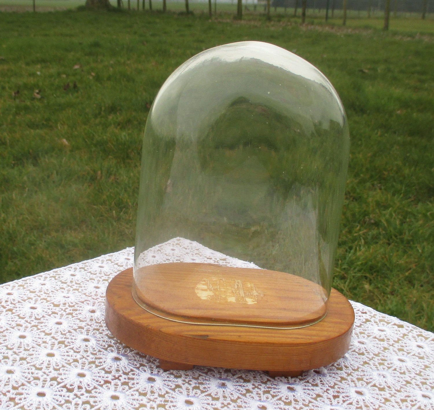 Small Vintage Oval Glass Globe Dome Bell Cloche Display Taxidermy Steampunk 6.3" steampunk buy now online