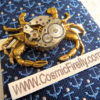 Men's Steampunk Tie Clip Brass Crab Tie Clip Vintage Watch Movement Nautical Tie Bar Gothic Victorian Men's Tie Clip Men's Gifts Tropical by CosmicFirefly steampunk buy now online