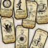 Steampunk Apothecary Labels halloween apothecary printable craft hobby crafting scrapbooking instant download digital collage sheet - VD0151 by VectoriaDesigns steampunk buy now online