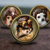 Steampunk Cihuahua / DOG / Vintage Bronze Dresser knobs cabinet Dresser Knobs pull / Furniture Knobs by GibbsHouse steampunk buy now online