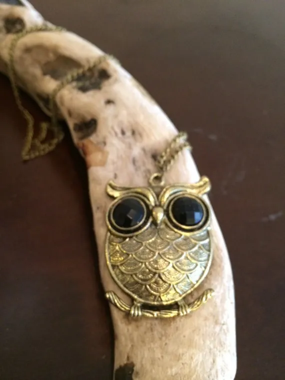 SHOP CLOSING SALE Bronze Owl Necklace/Bronze Owl Pendant/Owl Jewelry/Large Owl Charm/Antique Bronze Owl Necklace/Antique Bronze Owl Jewelry by UrbanANDElegant steampunk buy now online