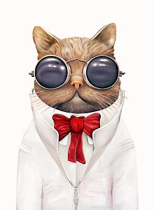 Astro Cat! steampunk buy now online