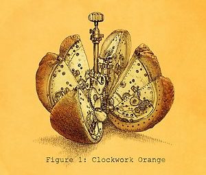 Steampunk Orange (colour option) steampunk buy now online