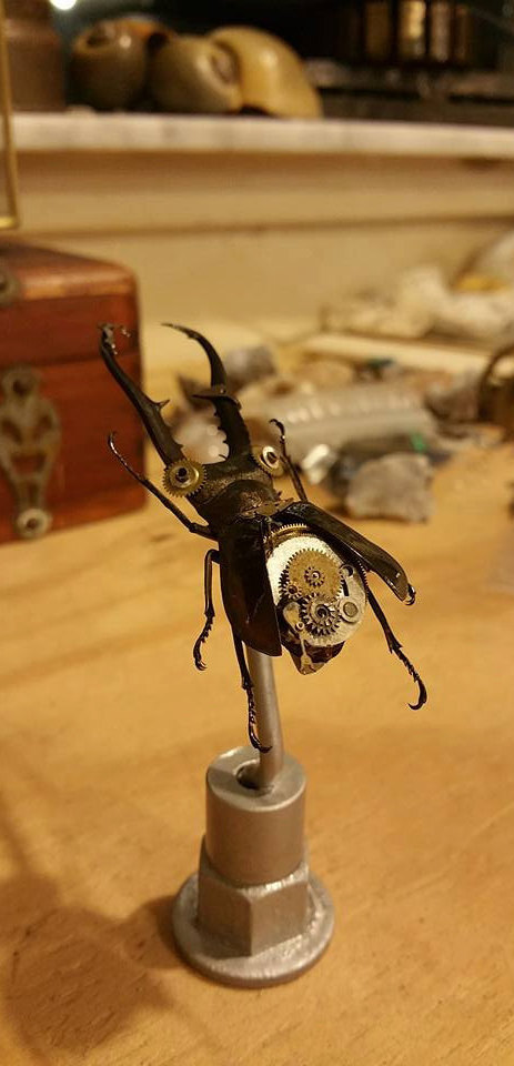 The &quot;Bionic Beetle Juice&quot; Steampunk Sculpture Series- Custom Order by SiffGallery steampunk buy now online
