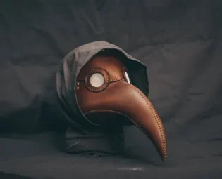 Plague Doctor Leather Light Brown Bird Mask , Medieval Bird Mask, Steampunk Masquerade Halloween Mask by ZiLeathercraft steampunk buy now online