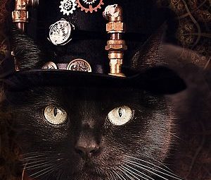 Steampunk Funny Cute Cat steampunk buy now online