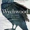 Wychwood: 1 steampunk buy now online
