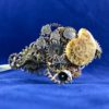 Nautical Steampunk Ammonite Fossil Gears Headband || Real Ammonite Fossil, Octopus, Oyster, Seahorse, Starfish, and Fish by HedwigsBaublry steampunk buy now online