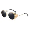 AMZTM Steampunk Metal Frame Sunglasses for Women Men - Retro Round Lens Eyewear with Side Shield Double Bridge(Gold Frame Grey Lens) steampunk buy now online AMZTM Steampunk Metal Frame Sunglasses for Women Men - Retro Round Lens Eyewear with Side Shield Double Bridge(Gold Frame Grey Lens) steampunk buy now online
