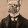Victorian French Bulldog by VictorianCreatures steampunk buy now online