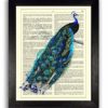 Blue Peacock Art Print, Kitchen Wall Decor Poster, Bird Illustration Artwork 8 x 10 steampunk buy now online