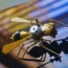 WASP - Steampunk/ Iron Bug/ Metal Insect ver. 2 by IronPlanet steampunk buy now online