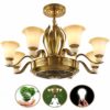 SOLUCKY Nordic Chandelier, Luxury Ceiling Light with remote Control, Negative Ion Invisible Ceiling Fan Light for Restaurant Bedroom Decoration steampunk buy now online