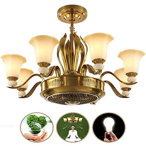 SOLUCKY Nordic Chandelier, Luxury Ceiling Light with remote Control, Negative Ion Invisible Ceiling Fan Light for Restaurant Bedroom Decoration steampunk buy now online