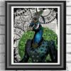 Peacock art print, Poster Print on Antique Dictionary book page, wall decor, Home decor, unique gift, Steampunk Peacock, Wall decor steampunk buy now online